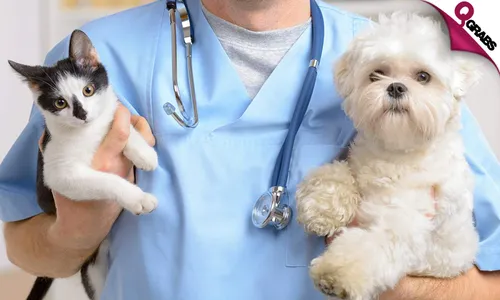 Vaccination & General Check up for Pets!